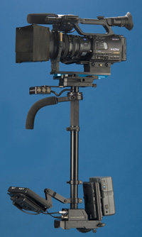 steady cam gold